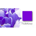 Fioletowy
