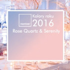 Kolor 2016 Rose & Sernity